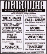 Melody Maker 7 Feb 81